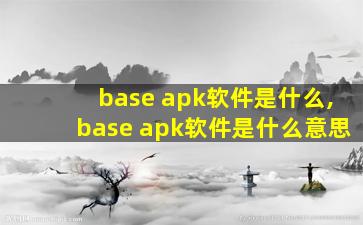 base apk软件是什么,base apk软件是什么意思